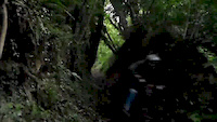 MTB : Downhill Black Forest