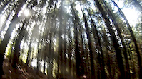 Munster Enduro stage 5