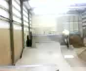 3 whip spine
