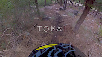 Tokai Raw Run