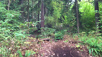 HOW TO JUMP A 29ER