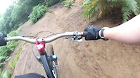 Dan Shredding Woburn