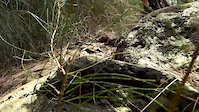 Hauula Loop Trail Oahu Hawaii