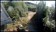 Stainburn Red trail descent