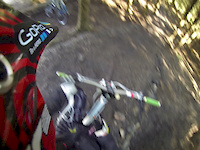 Over Bars and Snakebite