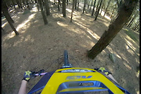 Afternoon Ride