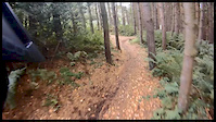Stainburn Forest edit