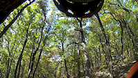 Price Mtn, Kelly Trail