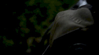 Nikon D5200 720p 60fps Low Light Slow Motion...