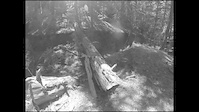 East Fork