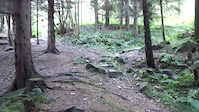 Falkland rock garden