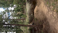 Specialized Enduro Pro, Buffalo Creek