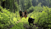 Trailbuilders - EnduRob trail