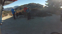 Viper Trail