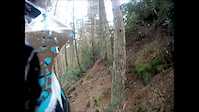 thrunton woods