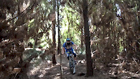 Churchill Pines - Ellis HayesHills
