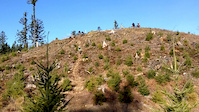 Training Days - Team Singletrack Minds