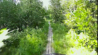 The Boardwalk