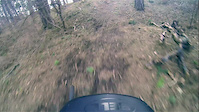 Local DH track