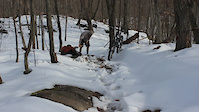 Snow riding