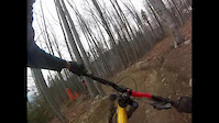 Palenica Black Track