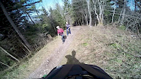 Bachtel Trail