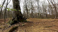 Szasz Szilard Spring Cut