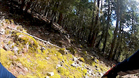 Pemberton's Back Pains DH