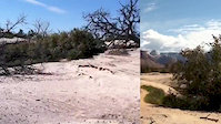 Riding Guacamole Trail