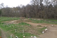 Dual Slalom at Comrie