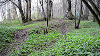 New Season, new Trail Teaser