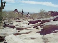 Rock Garden