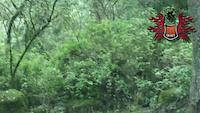 Carrera en los Dinamos 2014