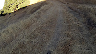 Riparian Trail