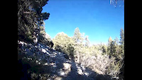 Cougar Crest Trail