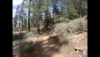 Pineknot Trail