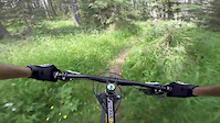 Beaver Creek Trail