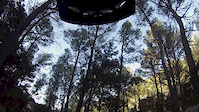 Oli Clar to Font Figuera