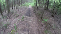 Cove Creek with Bill