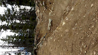 Im Going Downhill in Rocky Mountain Jasper Alberta