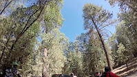 Mill Creek Trail