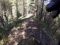 Long Road to Ruin Trail in Canmore Nordic Centre