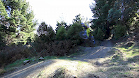 Dunedin groms riding jumps track,signal hill