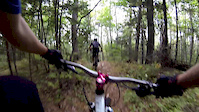 Few Spider Lake Clips