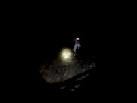 Night ridin