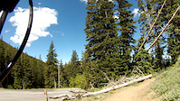 Scotts Bypass Trail