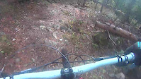 Shit Happens crash