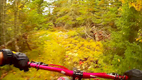 The Old DH Trail