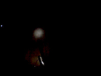 Night ride in the woods at big trees