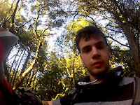Big trees to root strewn palos colarados